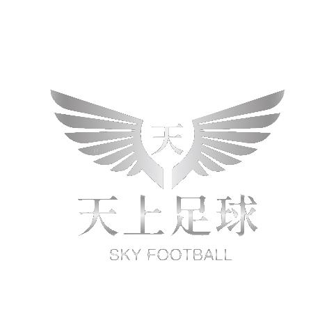 天上足球