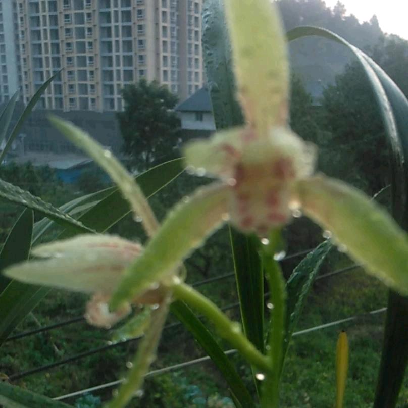 ℳ꧔ꦿ᭄珍惜.ℳ☘️