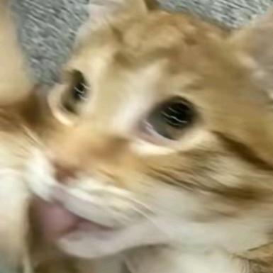 喜欢你哟宝宝香香软软的