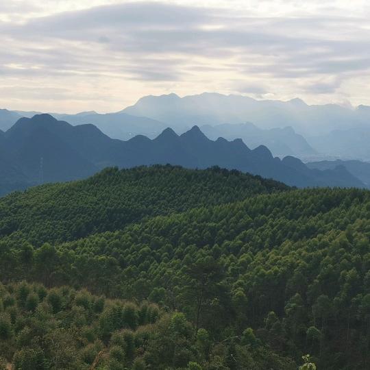 山阳
