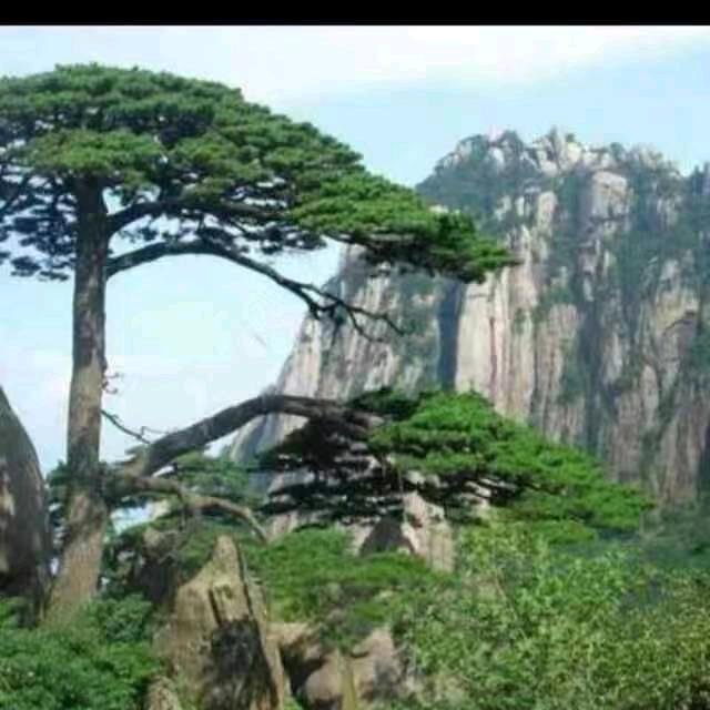 平安，寂伟