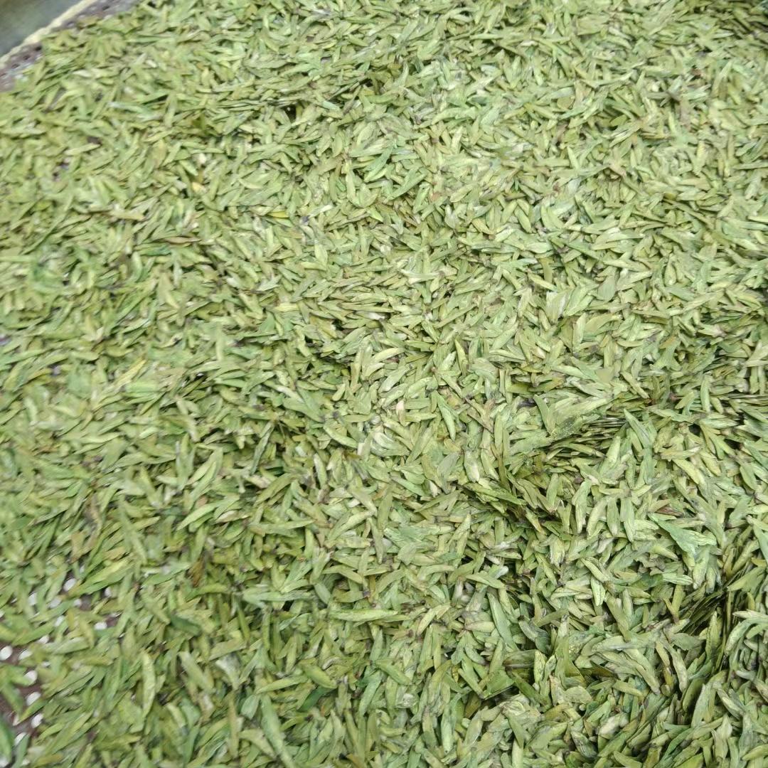 龙井茶  批发  零售