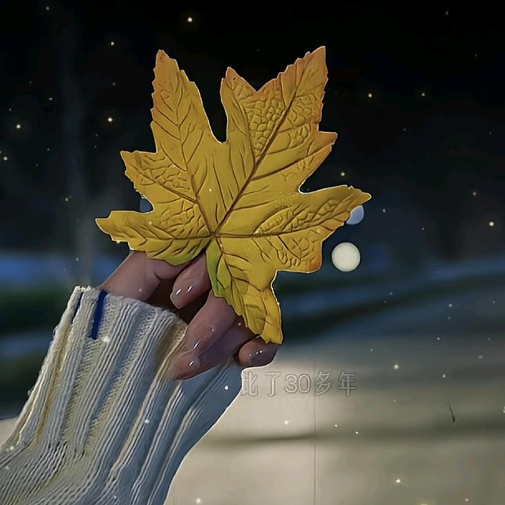 开开心心每一天