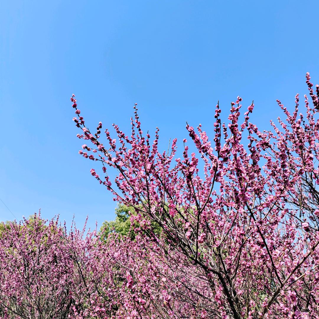 阿康
