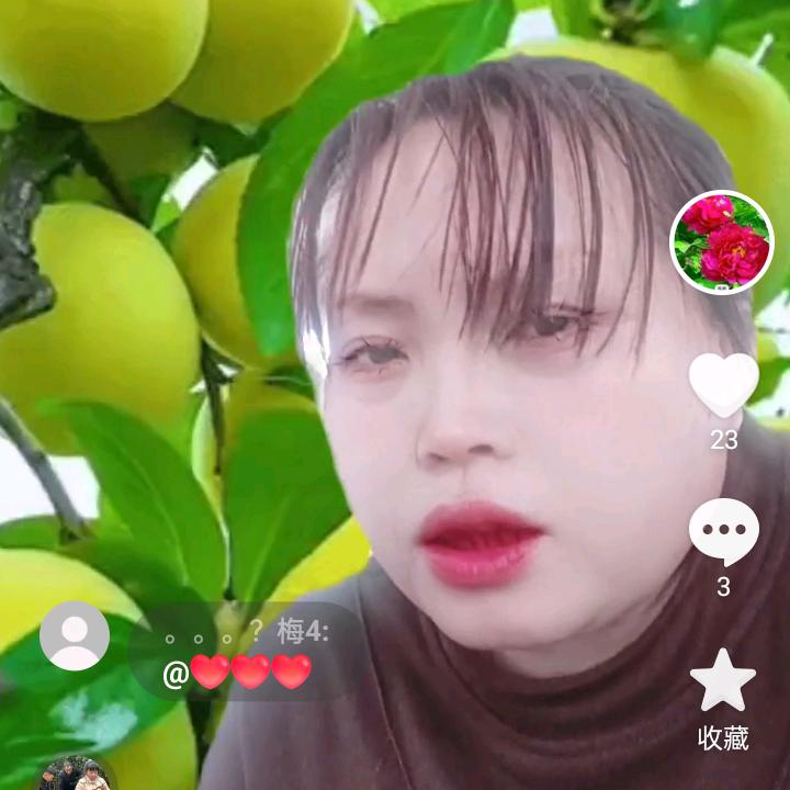 开心二妹