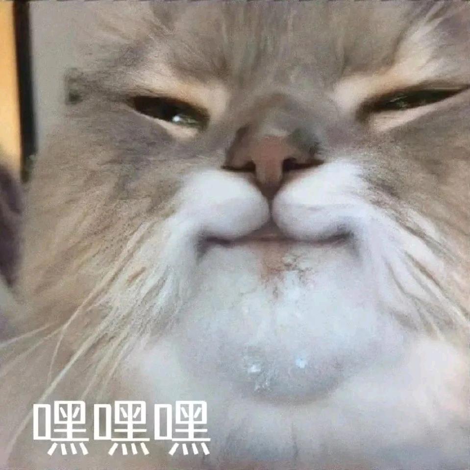 巨擎信息科技