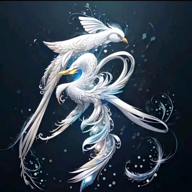 (╭☞•́⍛•̀)╭☞廖公子