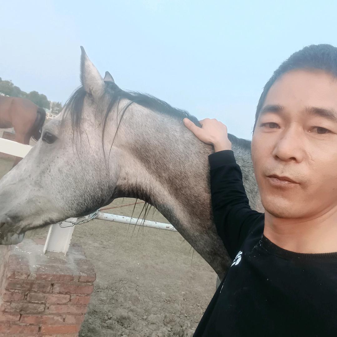 专业防水