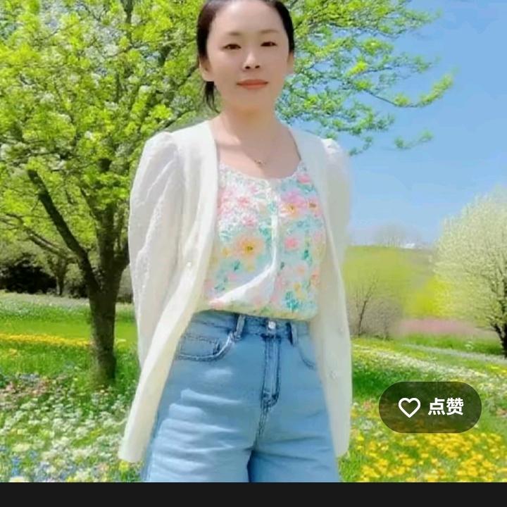 云凤