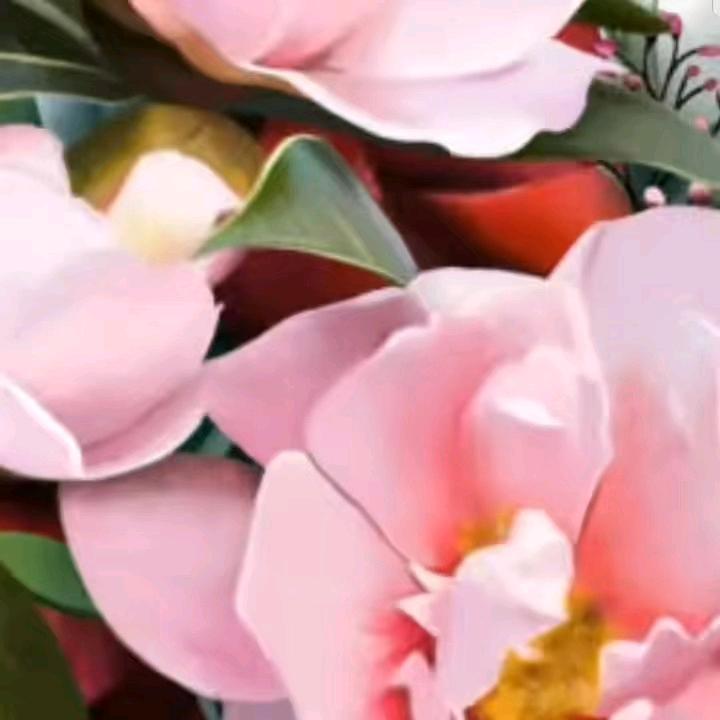 花飘飘(拒绝私聊)