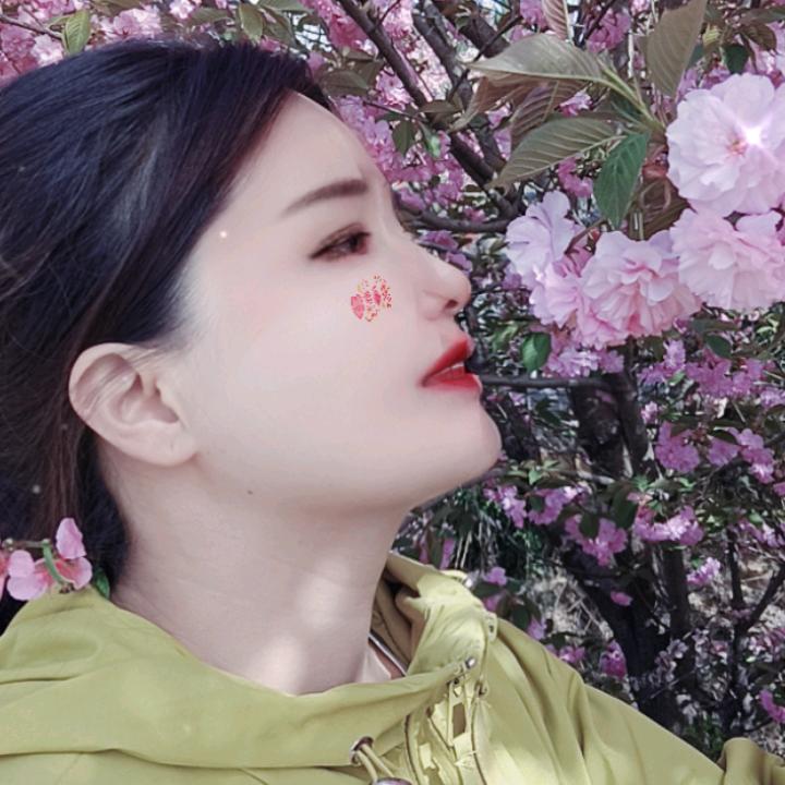 小趴菜