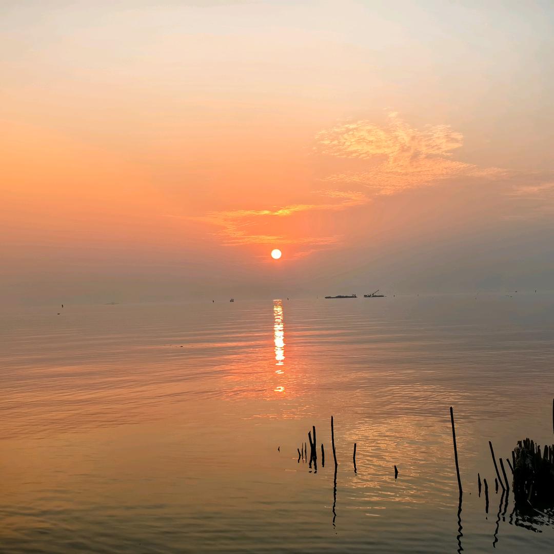 大王叫我来巡山