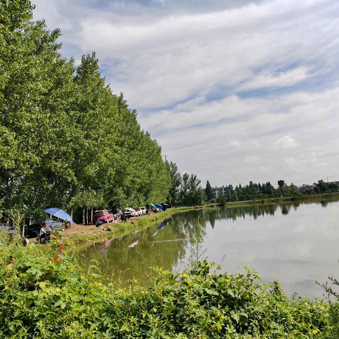 米庄南堰休闲垂钓🎣