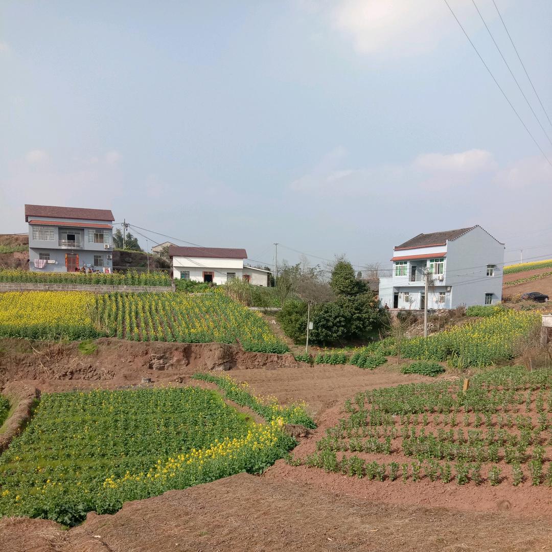 我的明天更美好