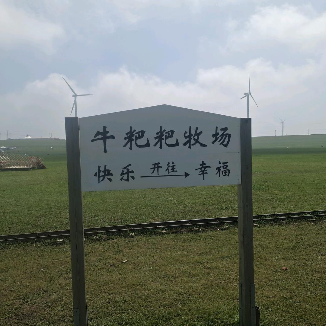 累了😓😓