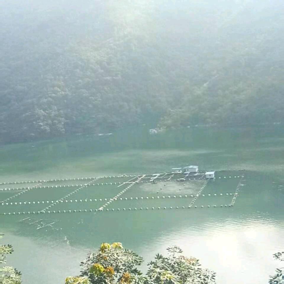 大舌头