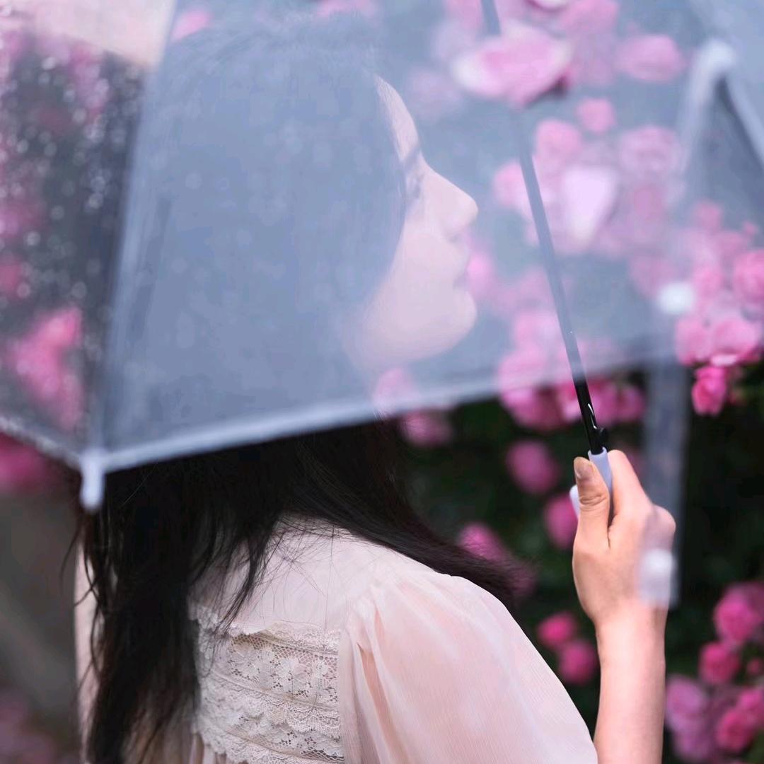玫瑰花