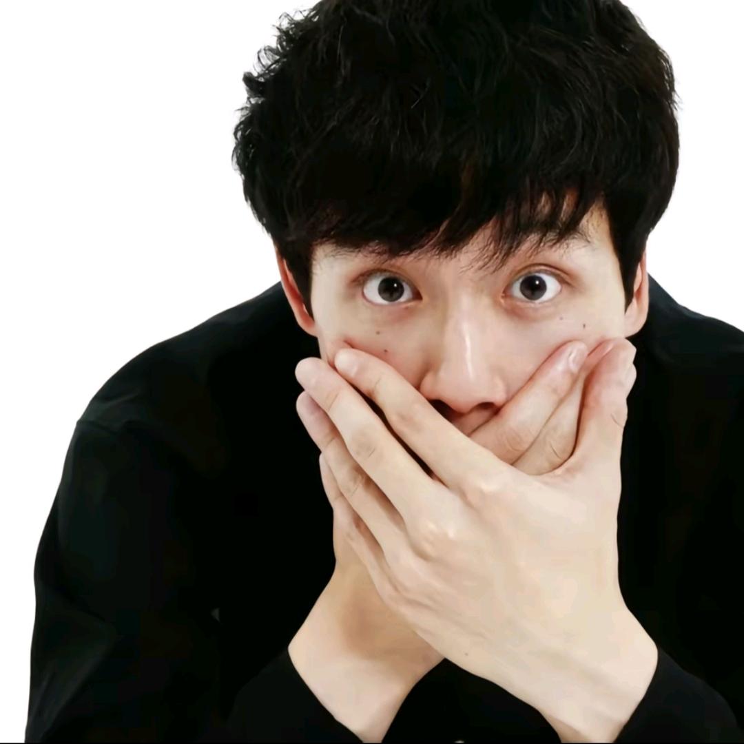 流浪小狗