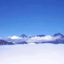 淡淡香的红玫瑰🌹