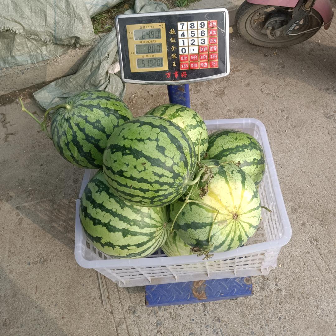 幸运小可怜林梅头像