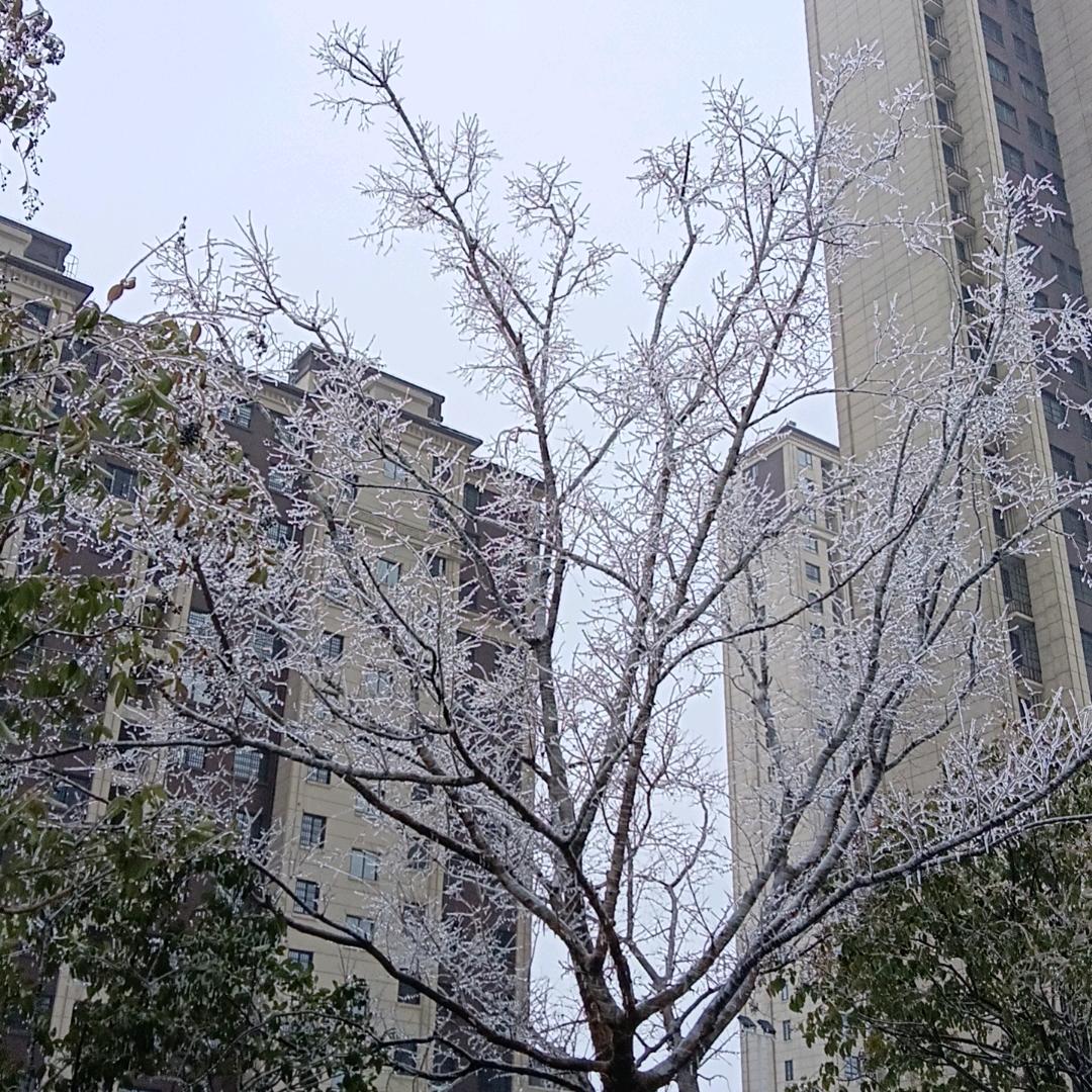 句号。