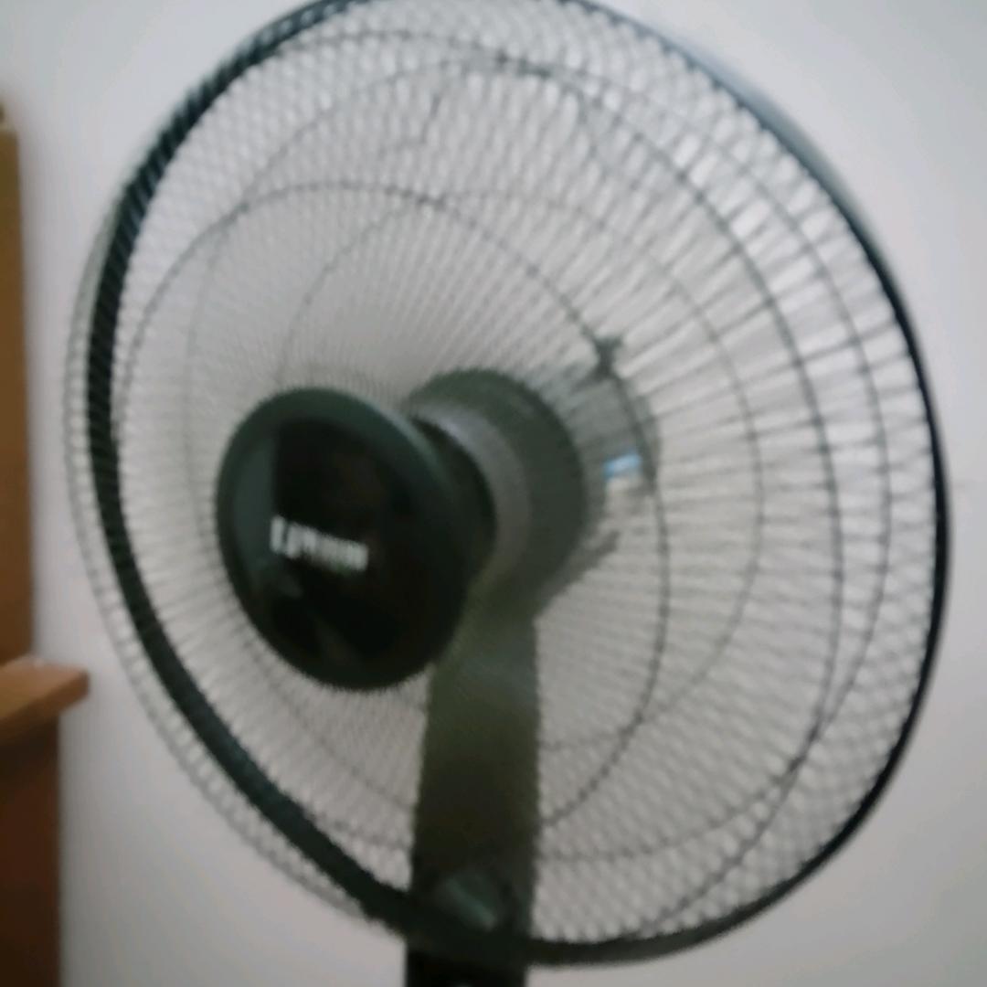 心想好事成凤凰