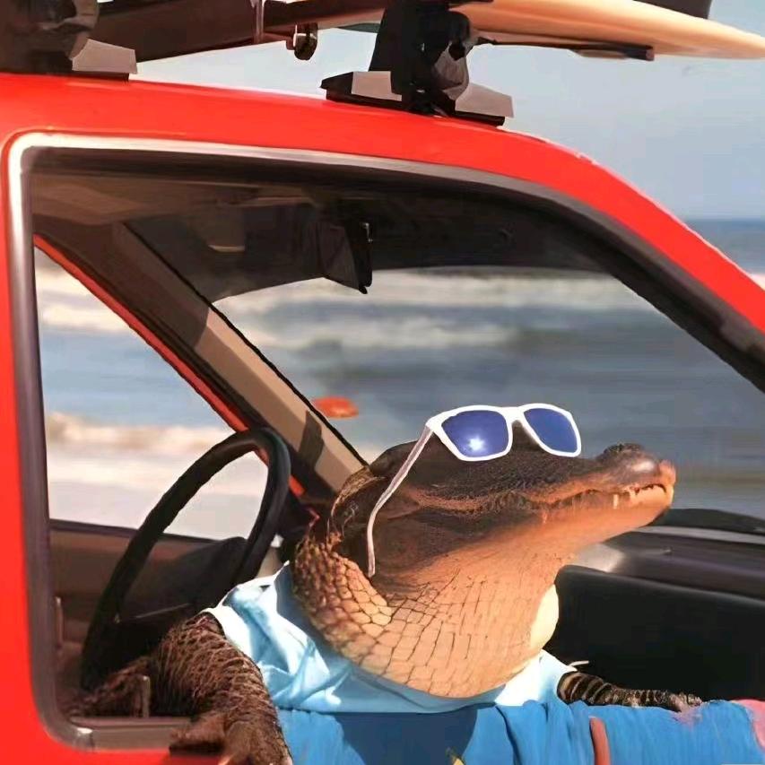 没事就爱发个疯