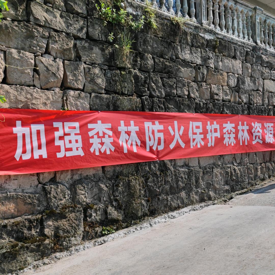 红星闪闪