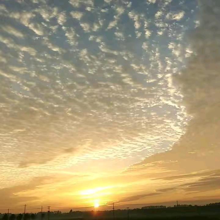 顺利哥