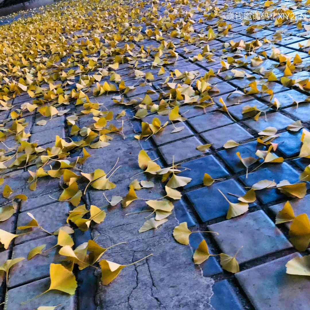 开心小土豆@^O^←_←♥♥→_→