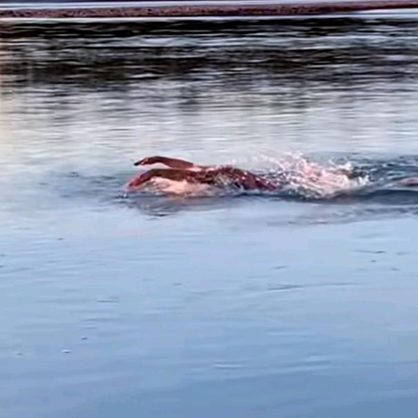 跑渣🚶迴迴（关必回）