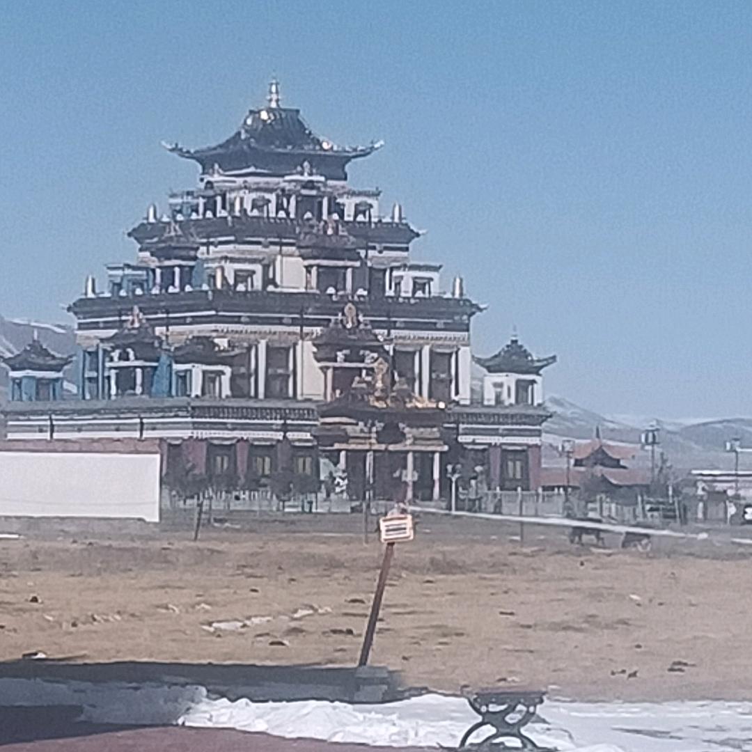 藏狼