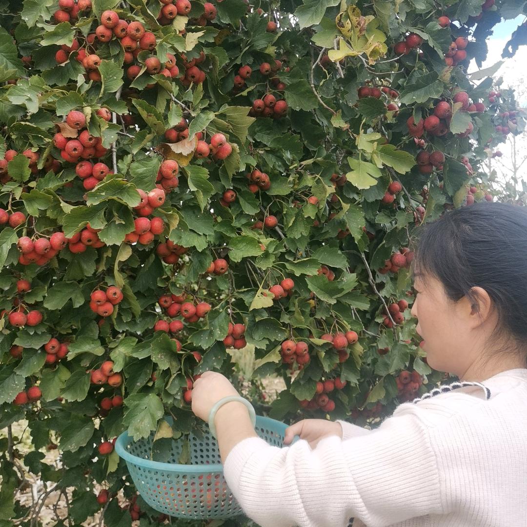 王姐