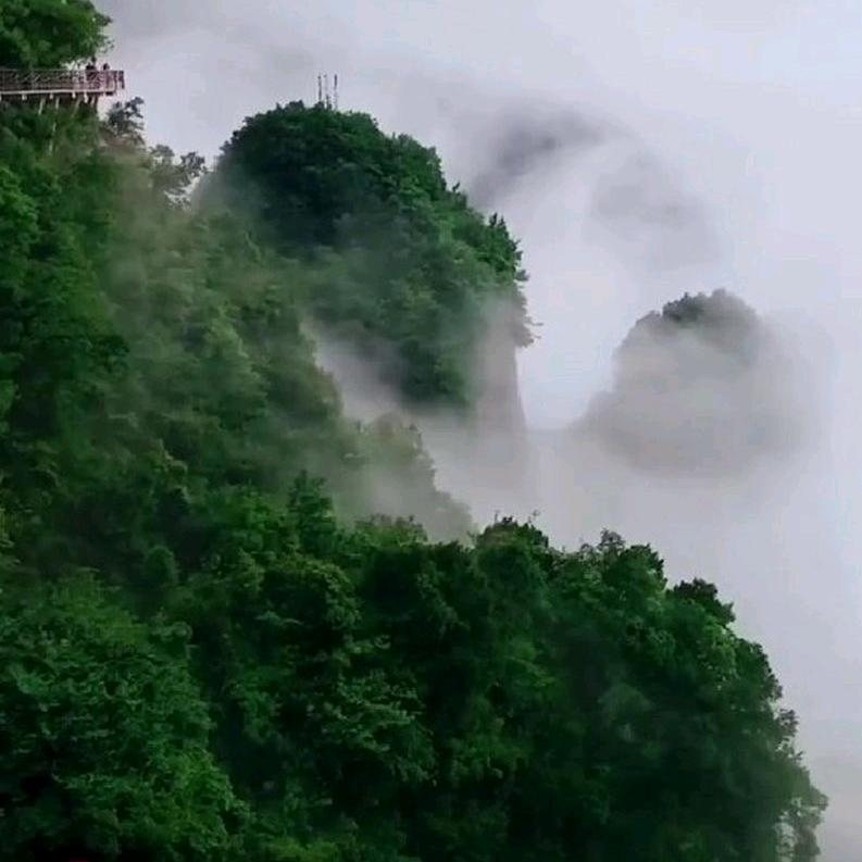 泉韵智慧课堂