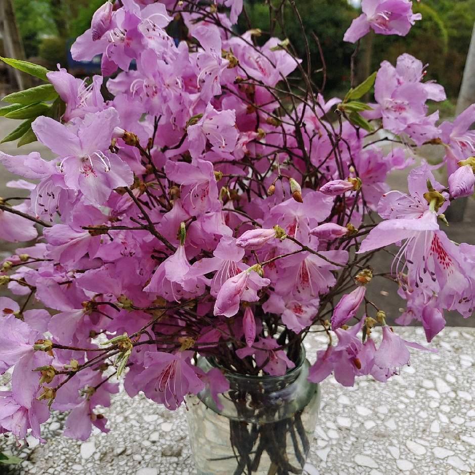 🍒🍒《删除过往》✨️✨️