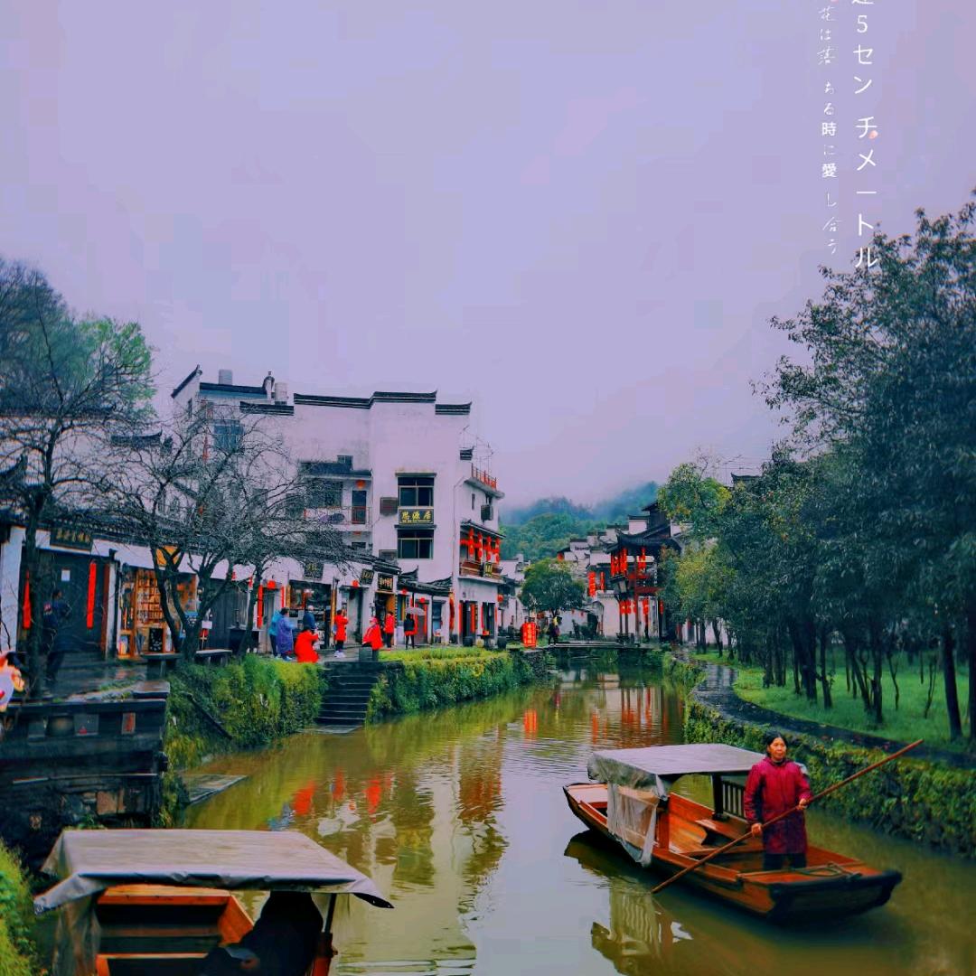 核桃~果仁