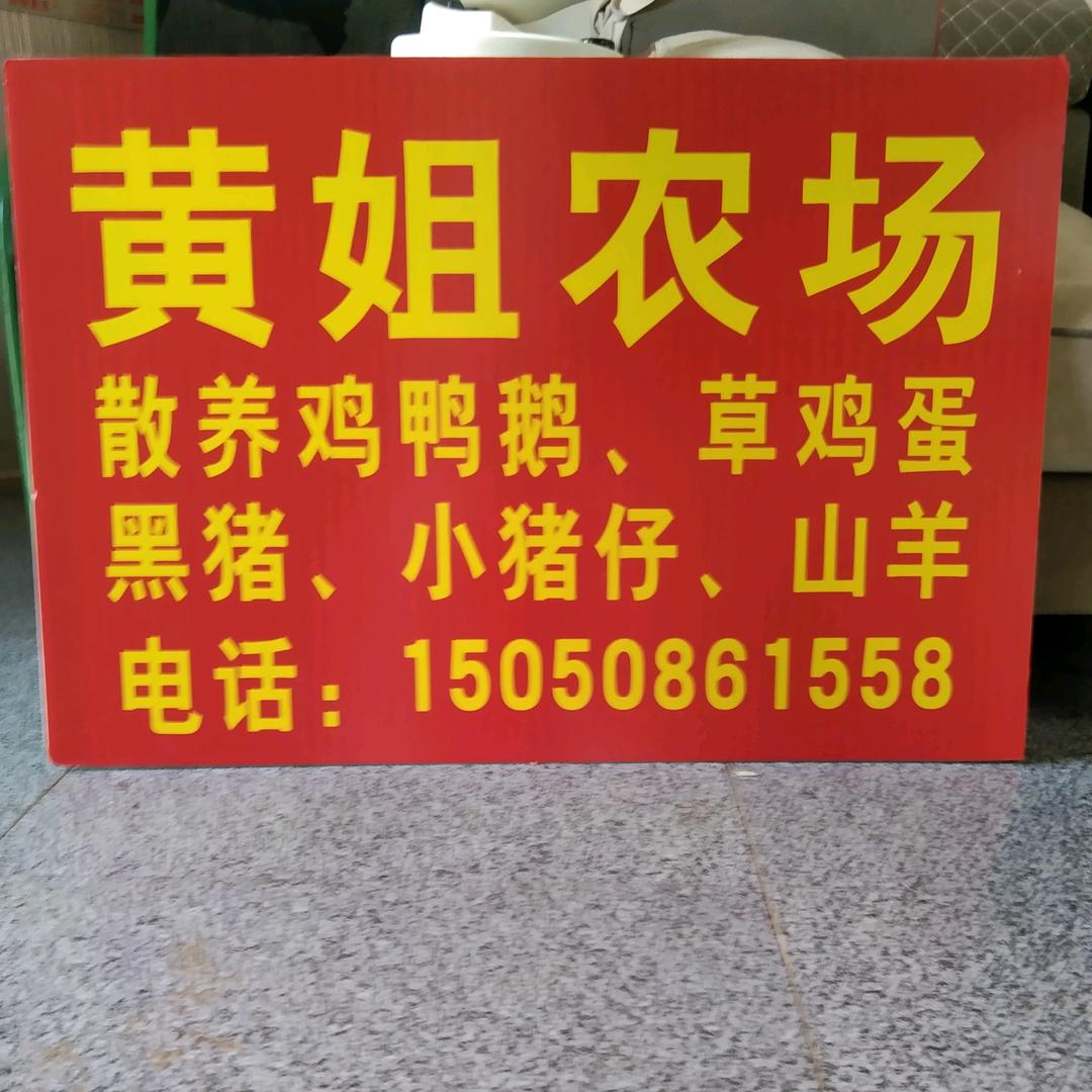 阿力