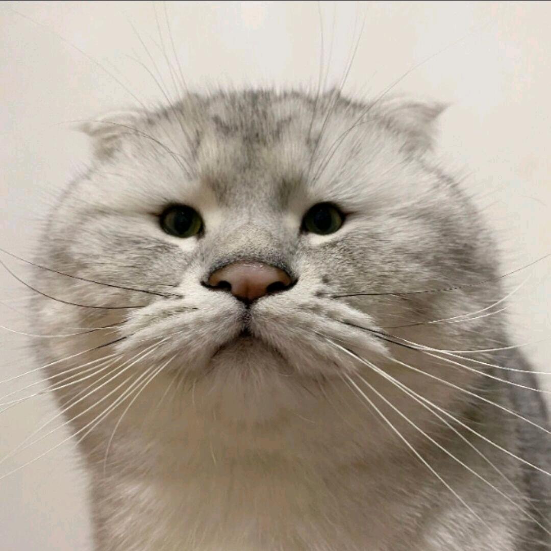参与