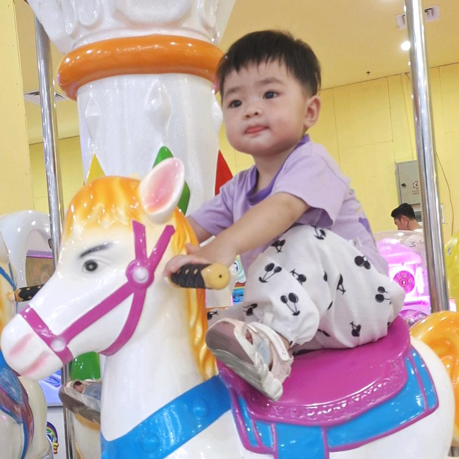 @幸运鹅