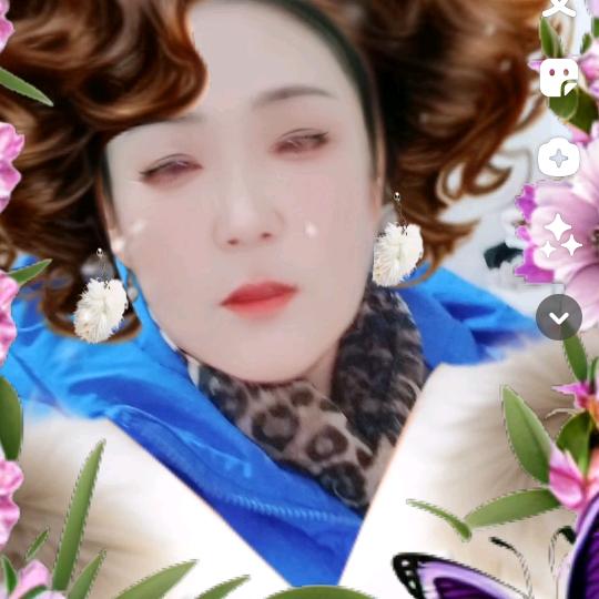 。会飞的牛