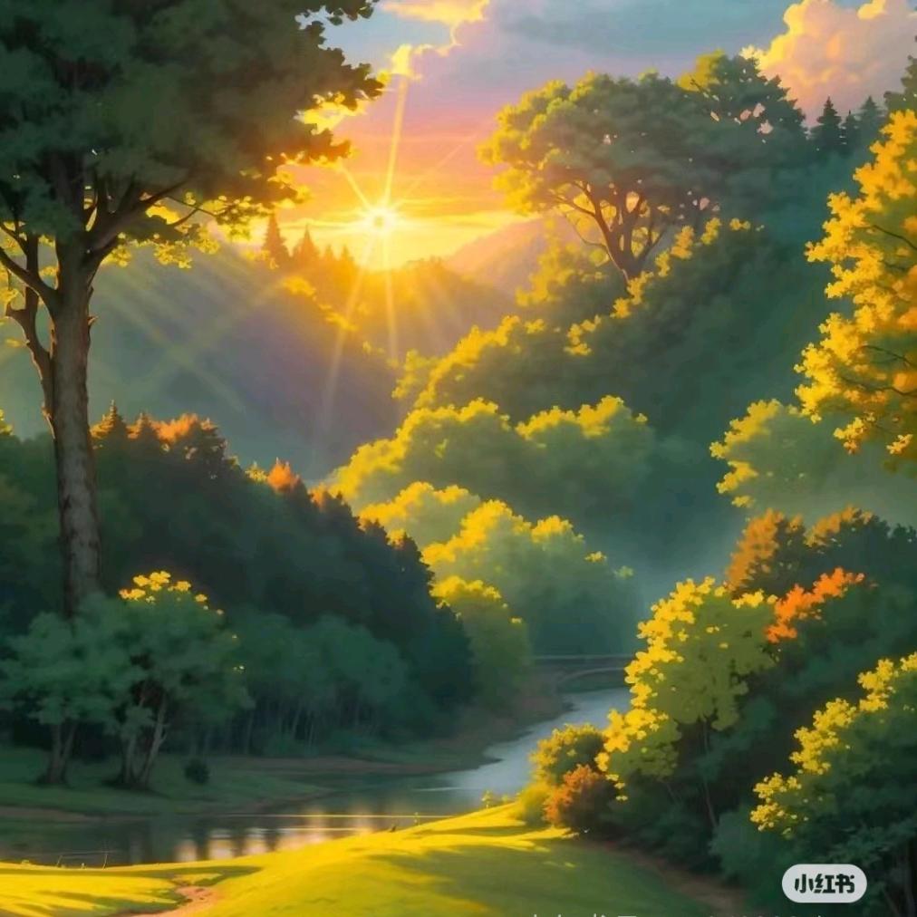 森林公园🏞