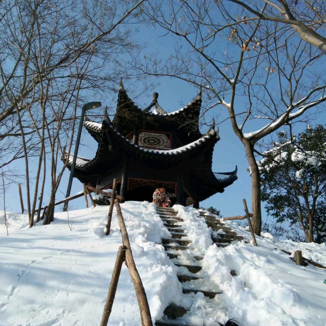 初心li