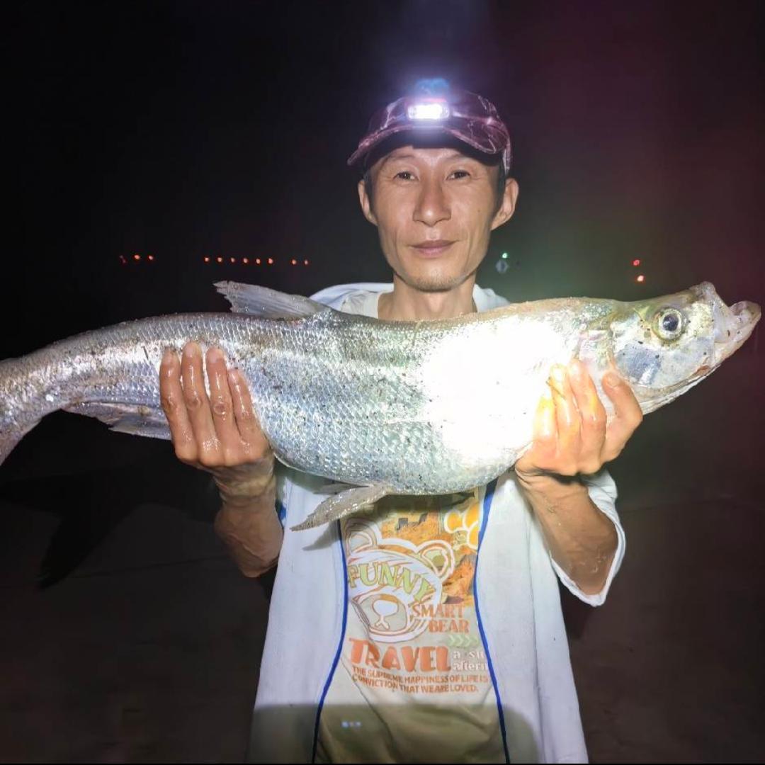 钓鱼人🎣