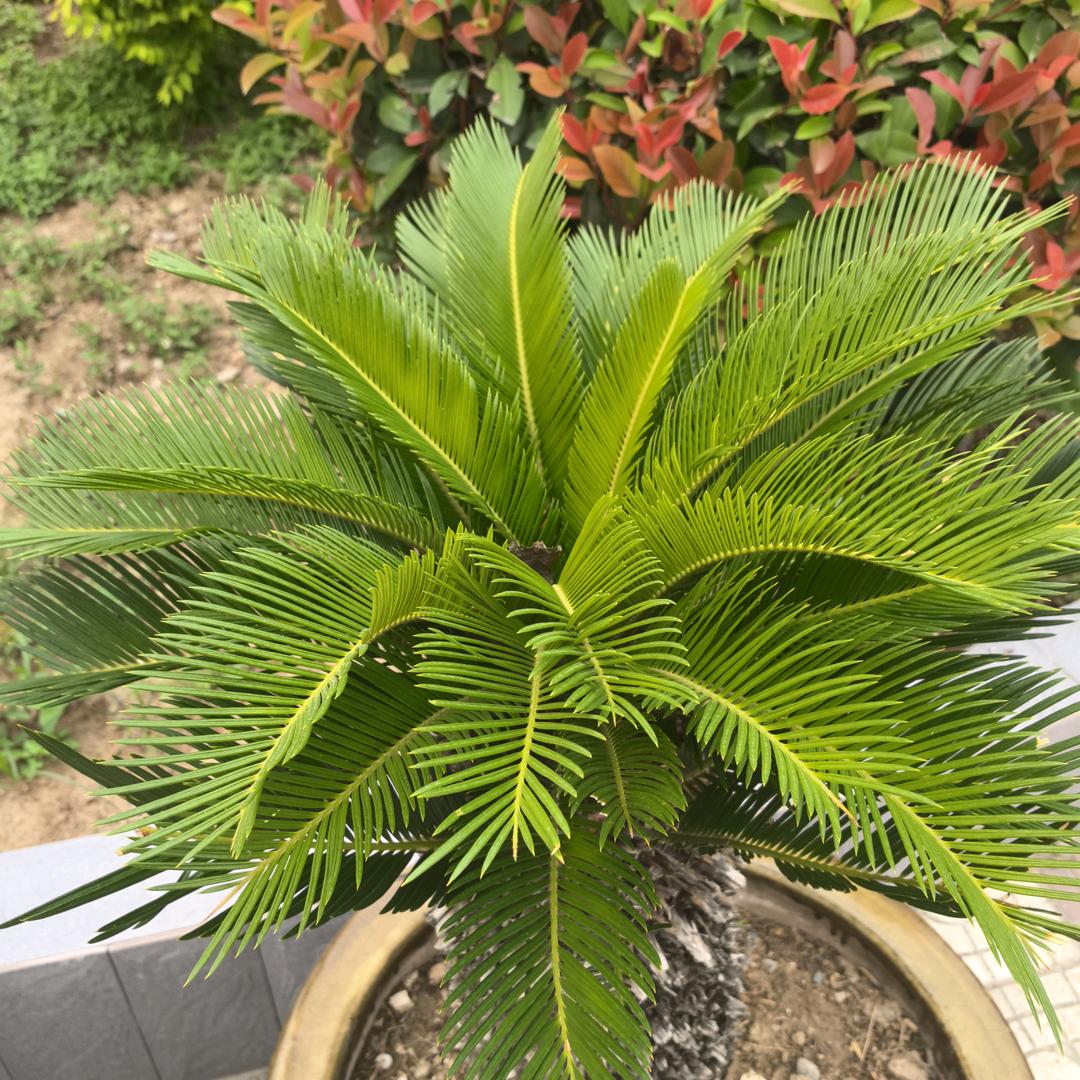 以后余生只为自己而活