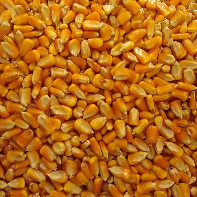 好牛