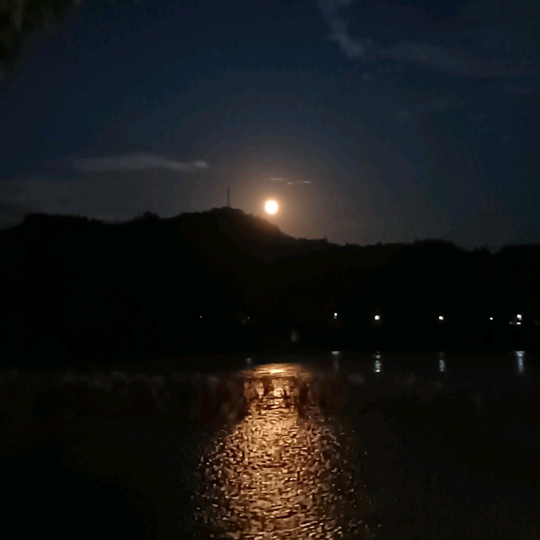 清闲@静默
