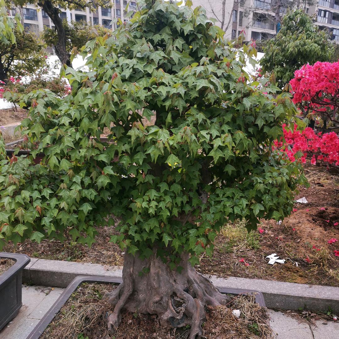 遇见你是我的缘