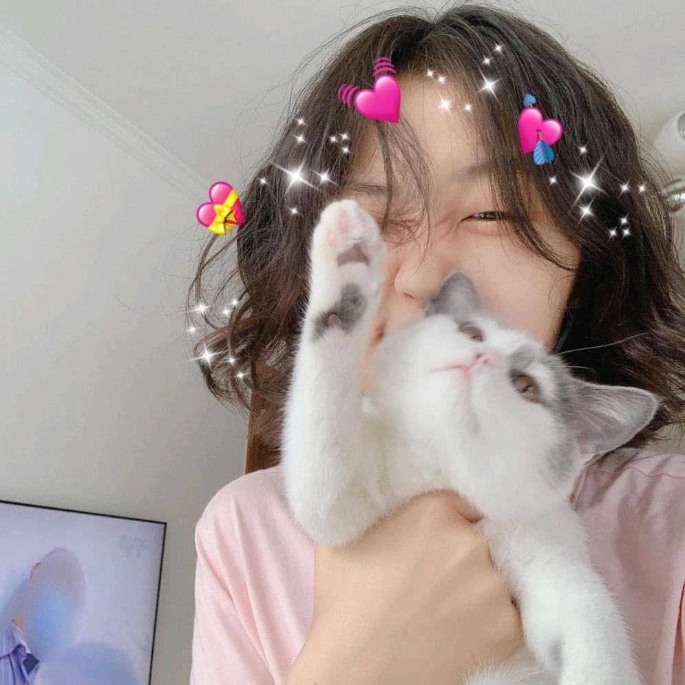 星黛露的兔子耳朵🐰