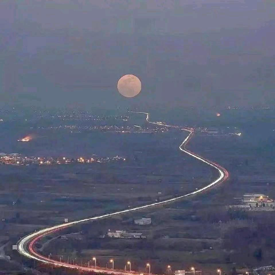 崇尚和平的熊猫