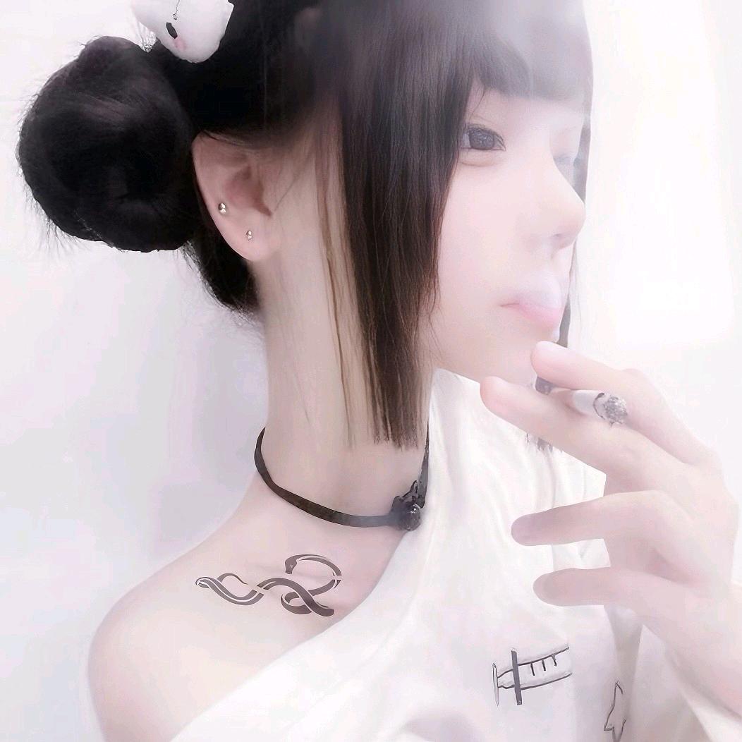呆呆猫